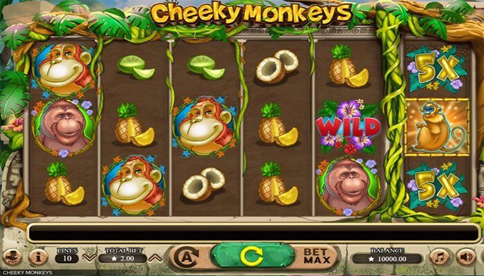 Cheeky monkeys