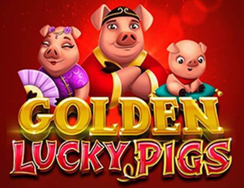 Golden lucky pigs