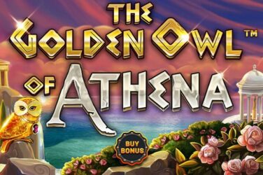 The golden owl of athena