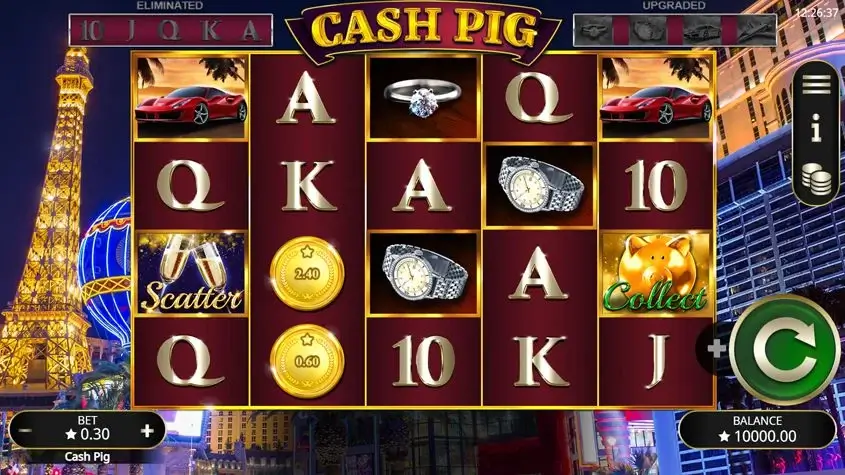 Cash pig