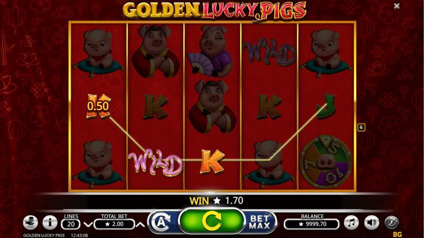Golden lucky pigs