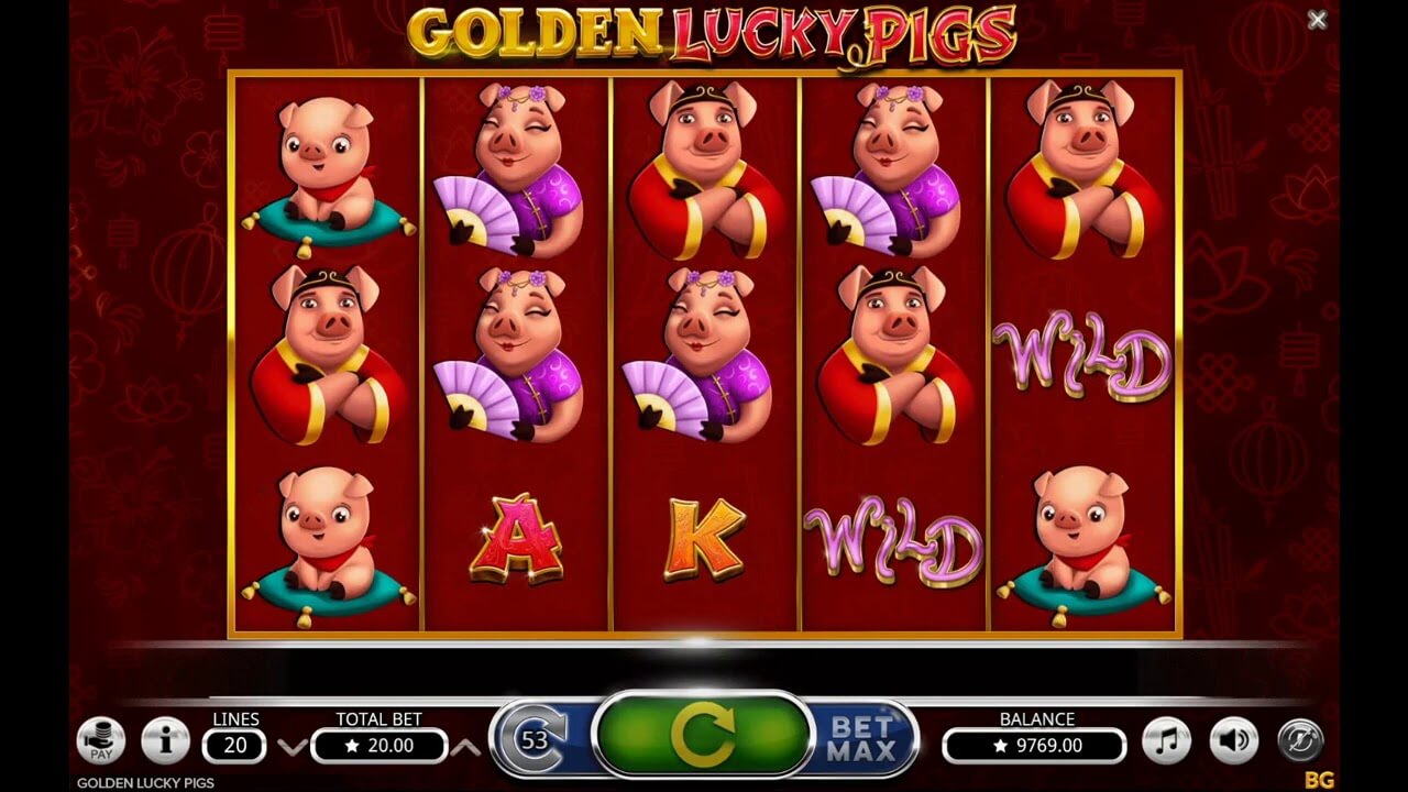 Golden lucky pigs