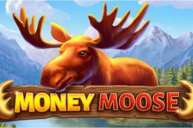 Money moose