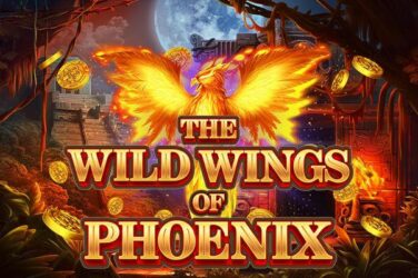 The wild wings of phoenix