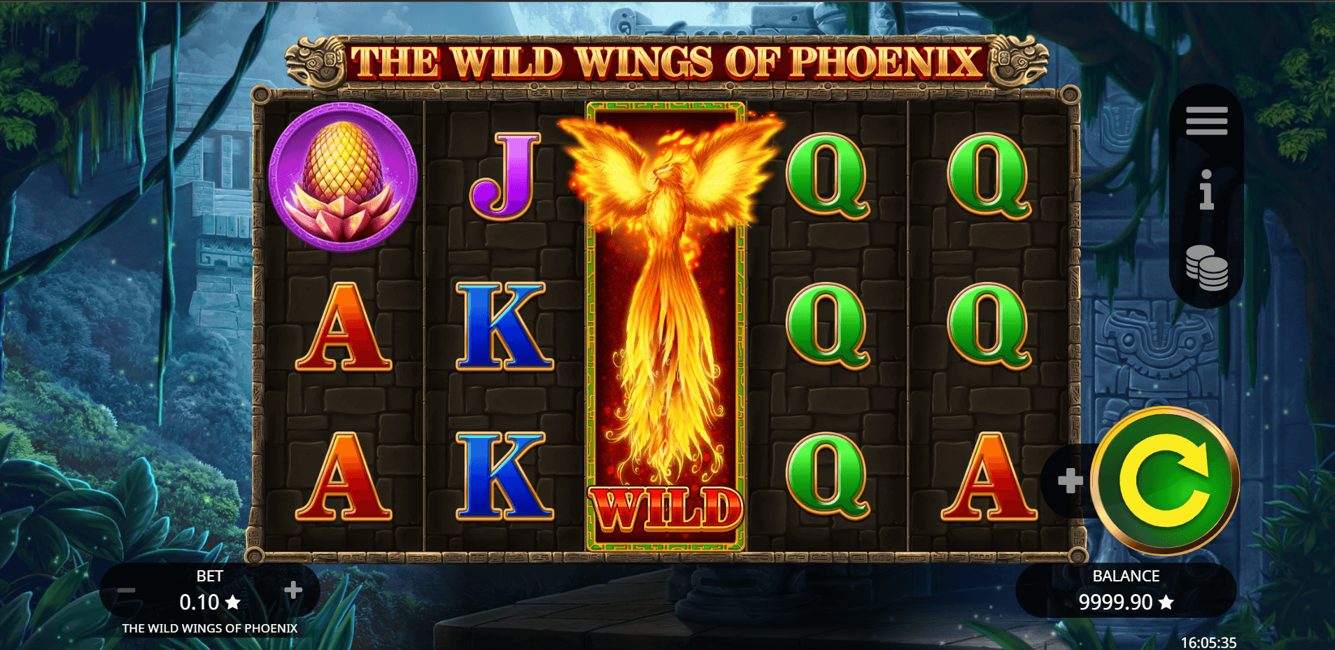 The wild wings of phoenix