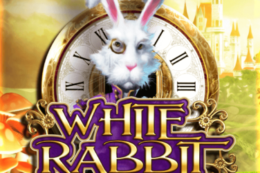 White rabbit