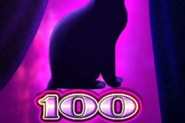 100 cats