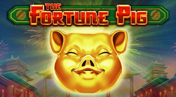 Fortune pig