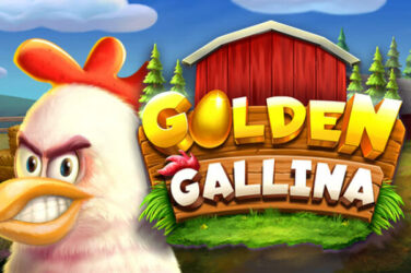 Golden gallina