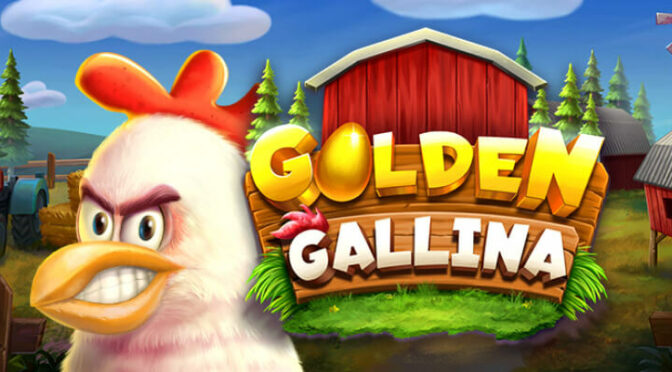 Golden gallina