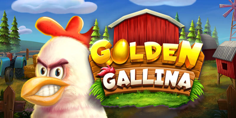 Golden gallina
