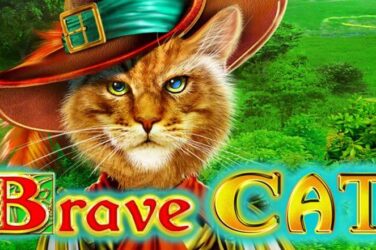 Brave cat