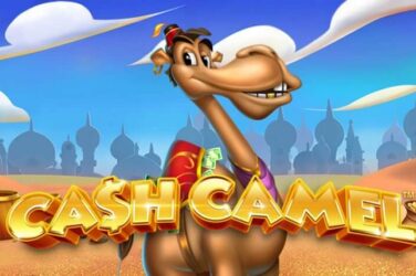 Cash camel