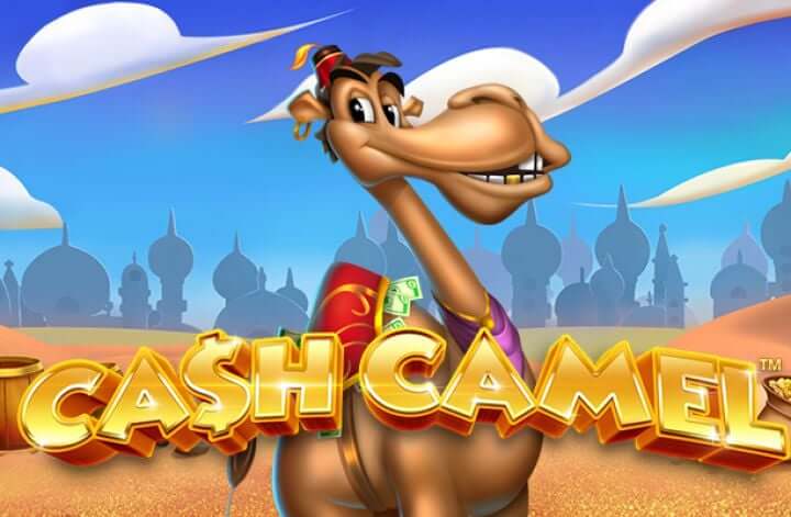 Cash camel