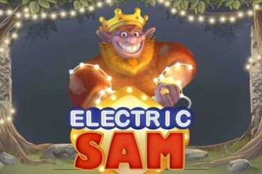 Electric sam