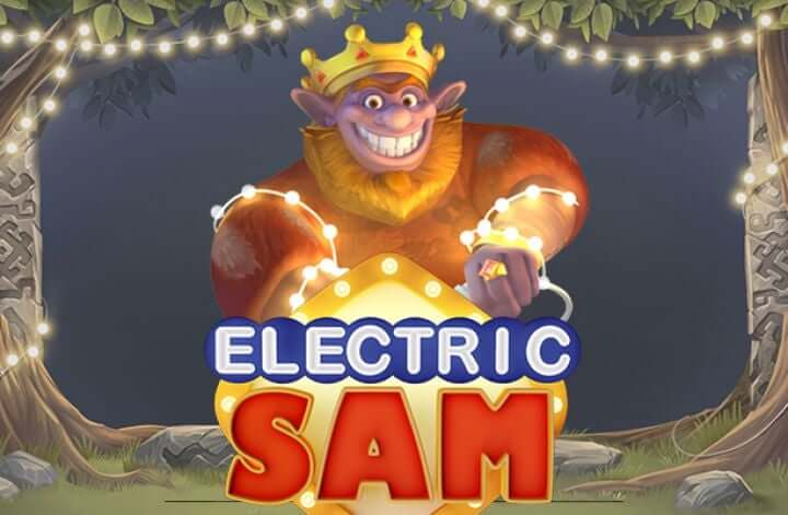 Electric sam