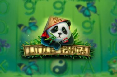 Little panda