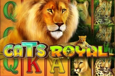 Cats royal