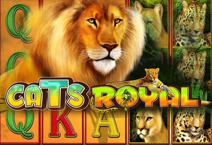 Cats royal