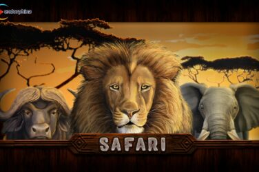 Safari