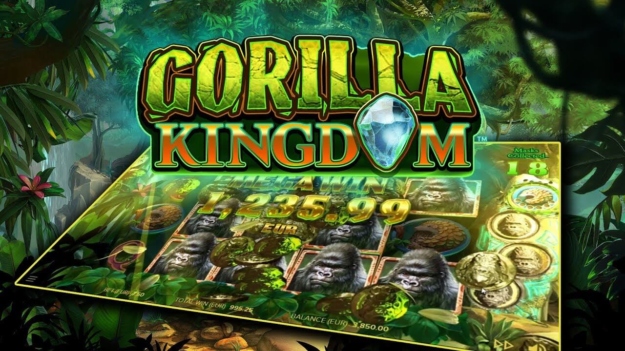 Gorilla kingdom