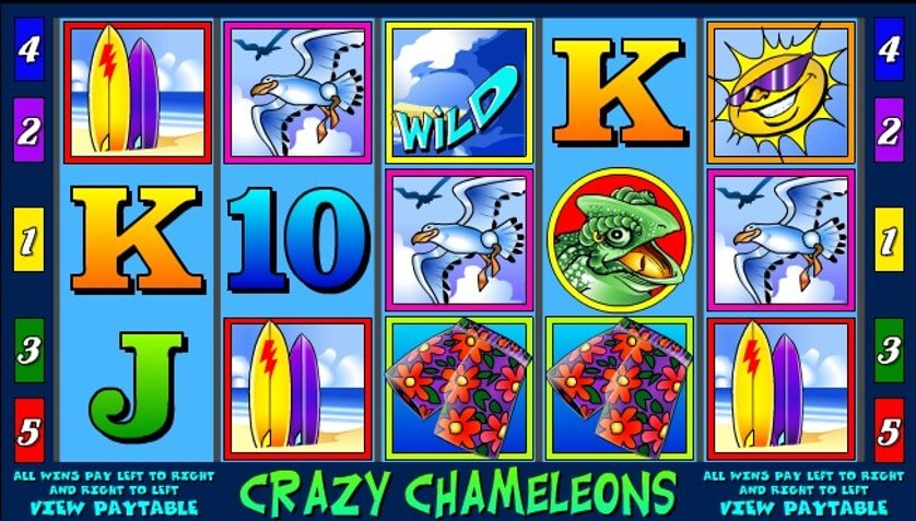 Crazy chameleons