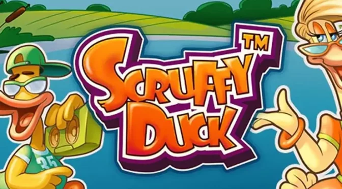 Scruffy duck
