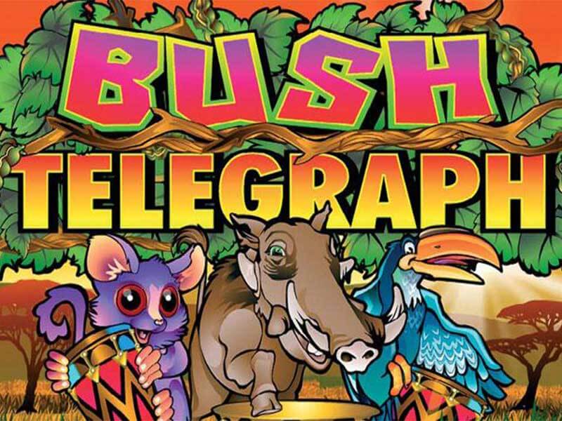 Bush telegraph