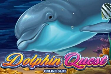 Dolphin quest