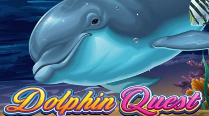 Dolphin quest