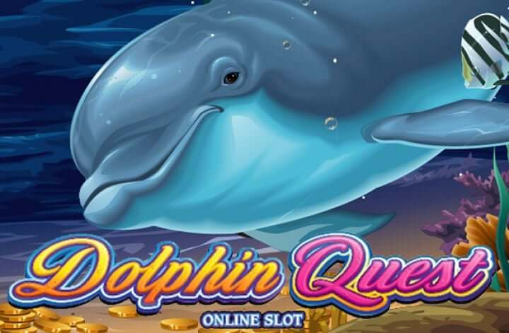 Dolphin quest