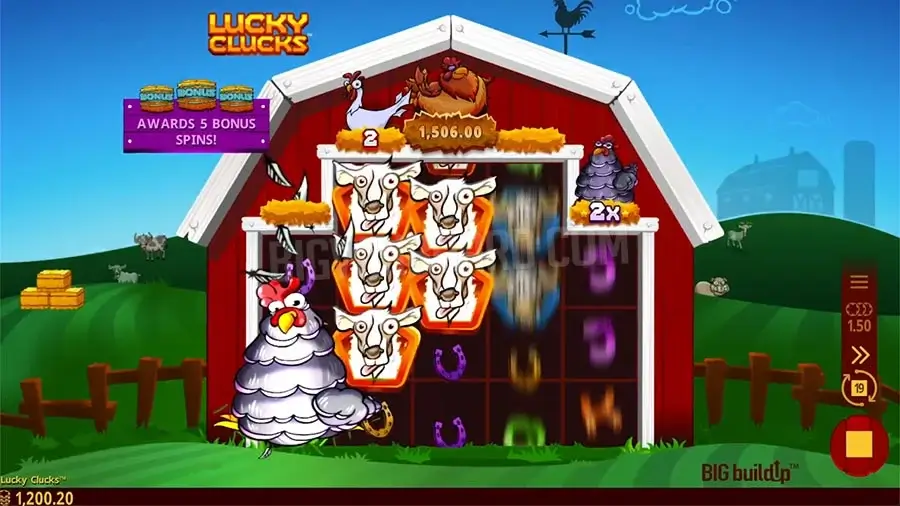 Lucky clucks