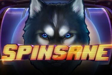 Spinsane