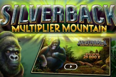 Silverback multiplier mountain