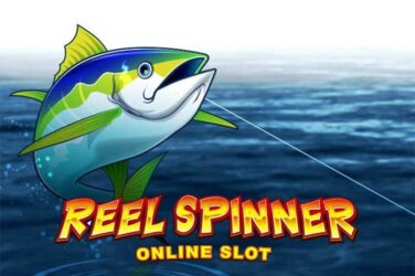 Reel spinner