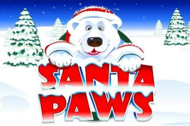 Santa paws