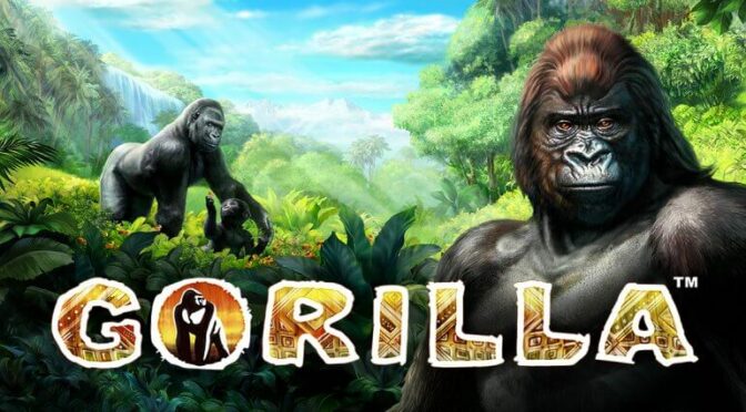 Gorilla