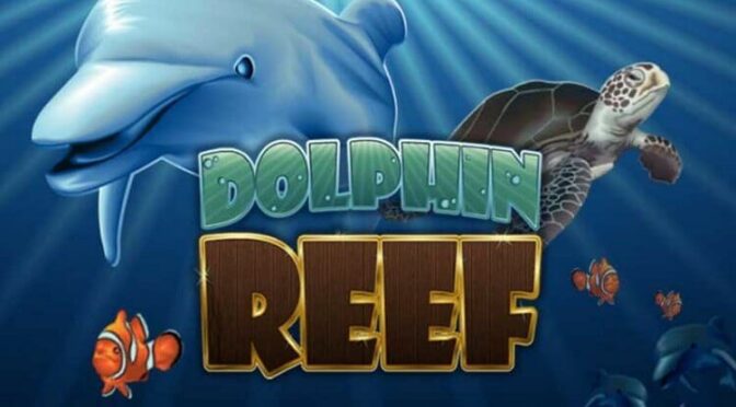 Dolphin reef