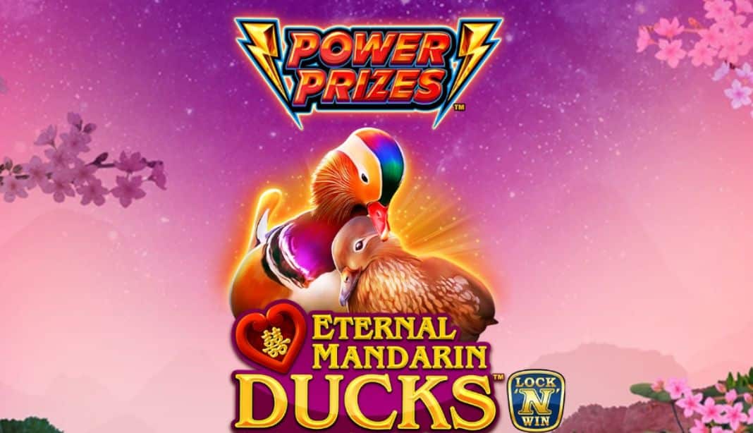 Power prizes eternal mandarin ducks