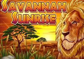 Savannah sunrise