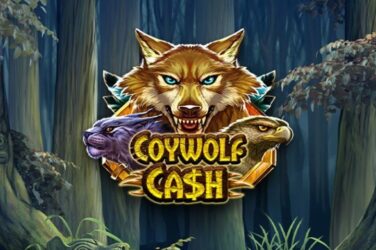 Coywolf cash