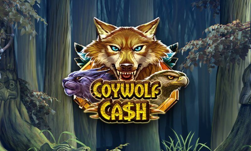 Coywolf cash