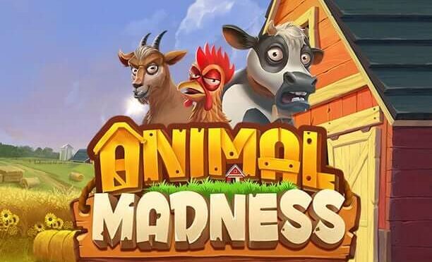 Animal madness