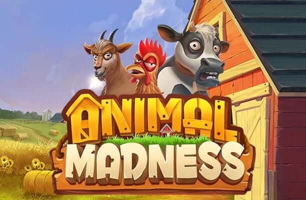 Animal madness