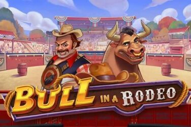 Bull in a rodeo