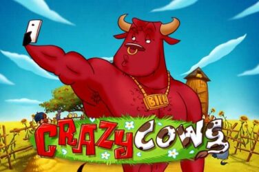 Crazy cows