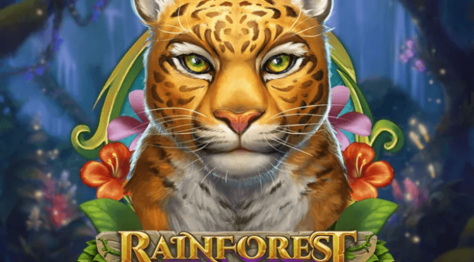 Rainforest magic