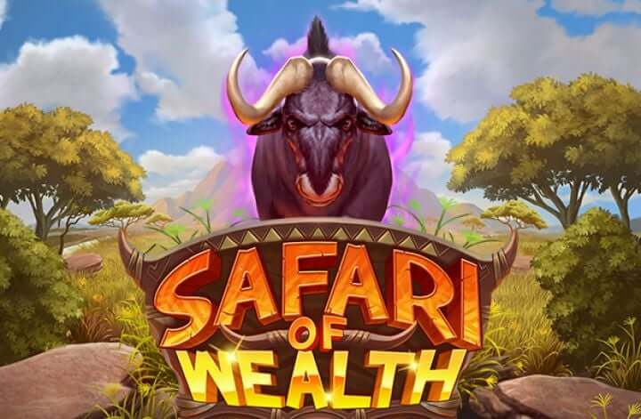 Safari of wealth