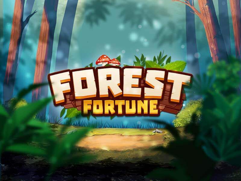 Forest fortune