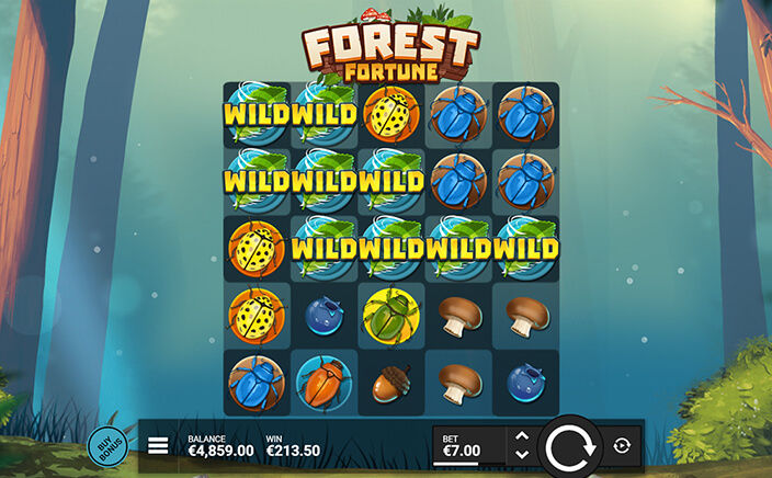 Forest fortune